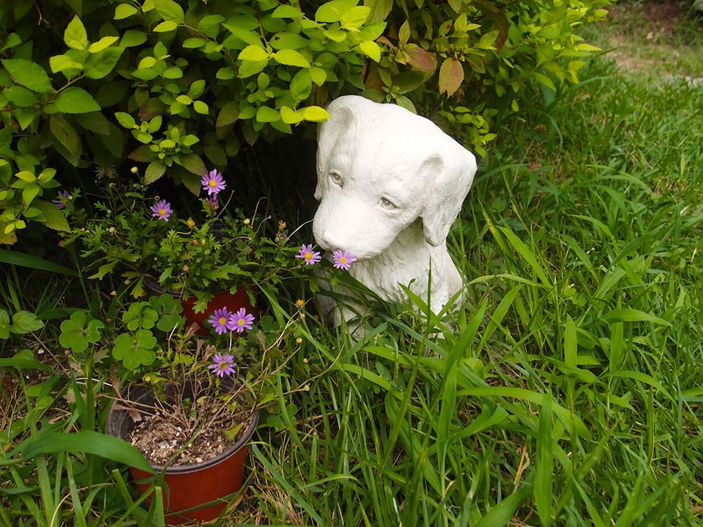 Cindy'S B&B Seul Zewnętrze zdjęcie
